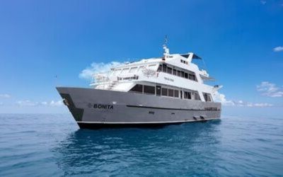 Bonita Yacht Toboggans d’extérieur - Galagents Cruises